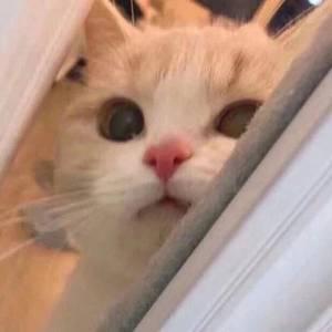 KTV嫖妓嫖到戴面具的麻麻
